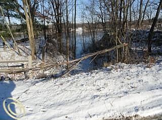 4th image of 6070 S Shore Dr
