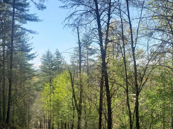 0 Whispering Creek Rdg, Mineral Bluff, GA 30559