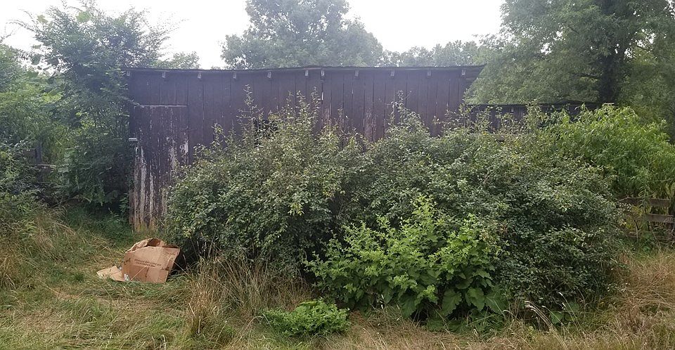 2nd image of 199 Peters Ford Ct