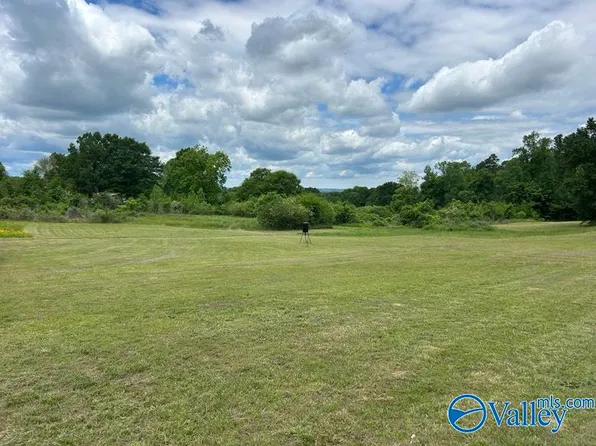 11 Gaines Rd, Altoona, AL 35952