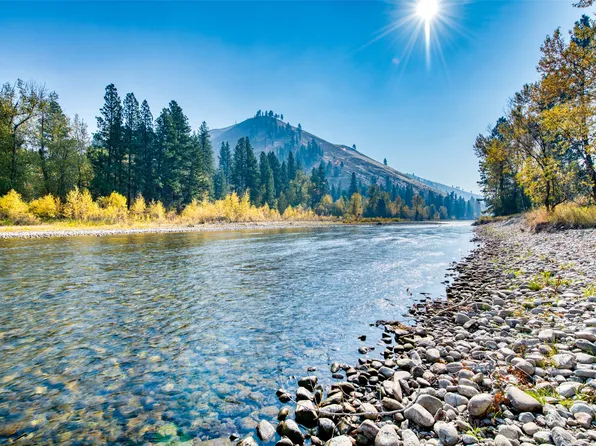 Nhn East Gorus Loop, Darby, MT 59829