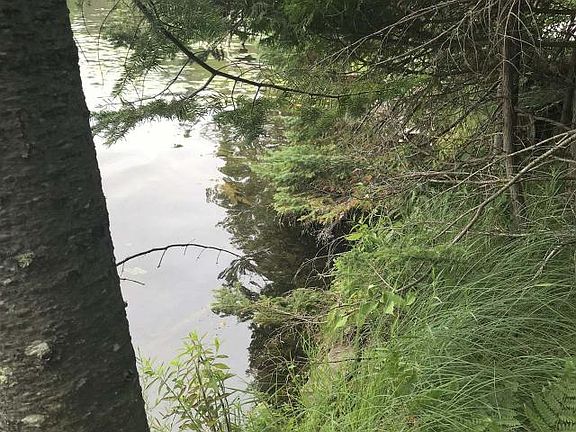 4th image of 17825 Munger Lake Ln