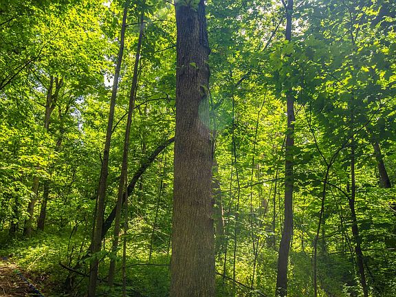 4th image of 0 German Ridge Rd