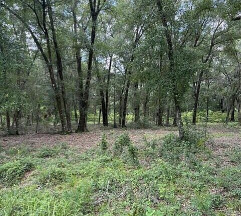 3rd image of 607 COUSINTOWN RD Road