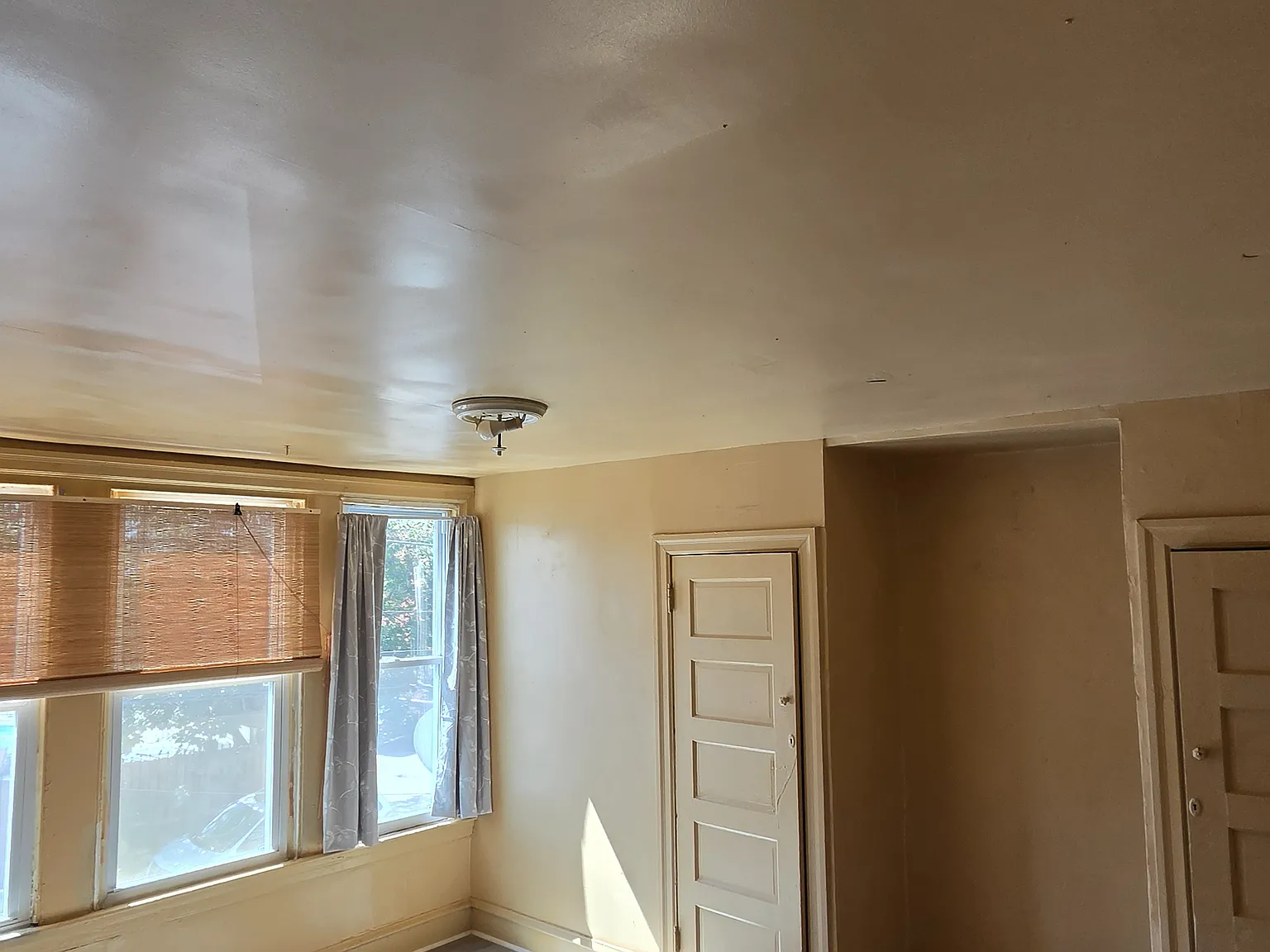 1 bed, $900 — Photo 4