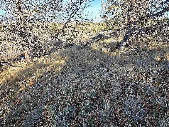 2nd image of Quail Dr