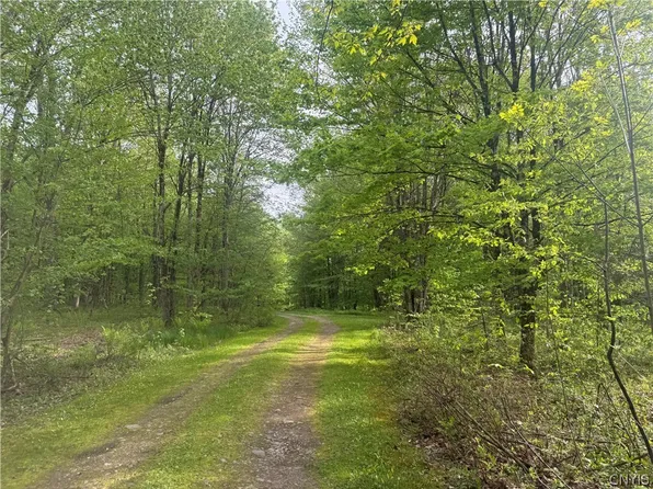 LOT 9 Lost Ridge Rd Unit 9, Camden, NY 13316