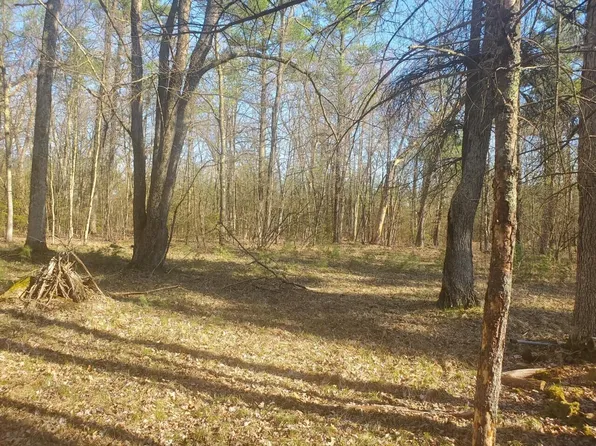 Vl W Meinert Rd, Montague, MI 49437