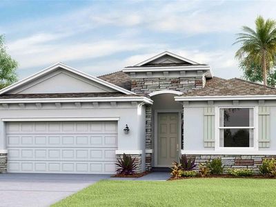 5640 Silver Moonlight Dr, Palmetto, FL, 34221