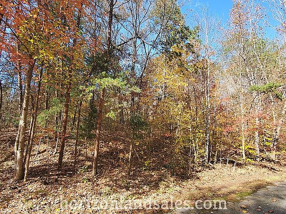 5th image of 0 Twin Lakes Dr