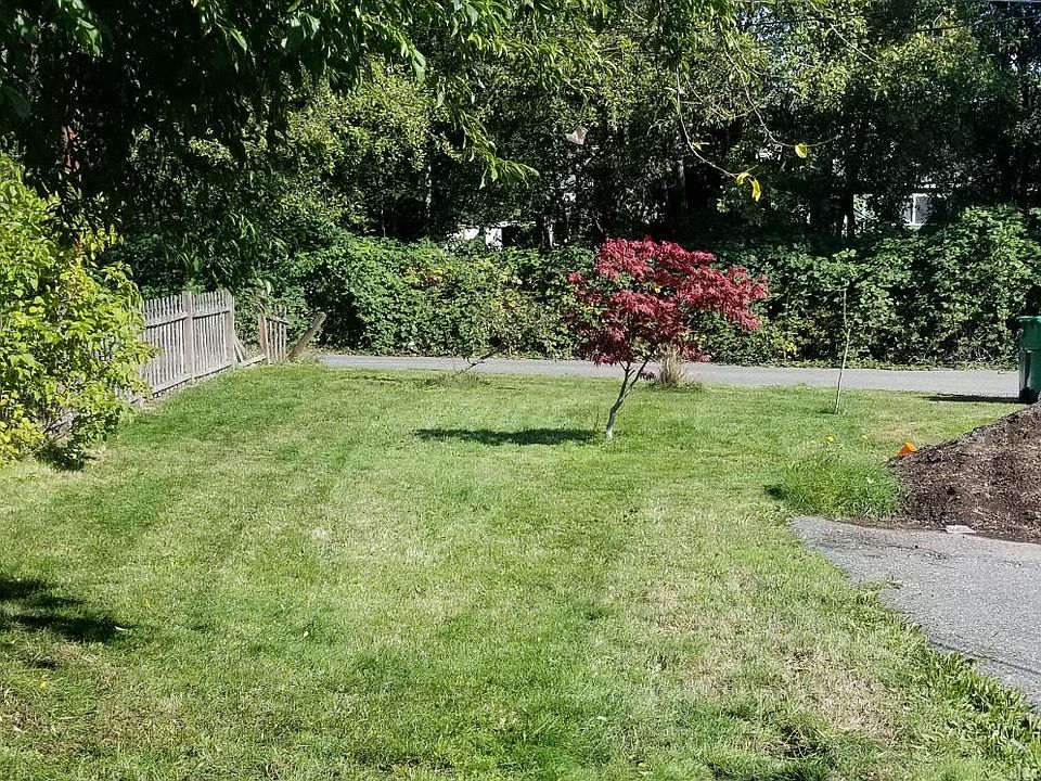 View from living room. The bare spots are wprk in progress. Landlord lives next door and maintaimes yard.