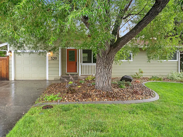 Beautiful willow tree out front.
