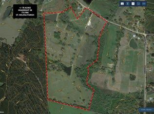 3889 Newman Rd, Kentwood, LA 70444