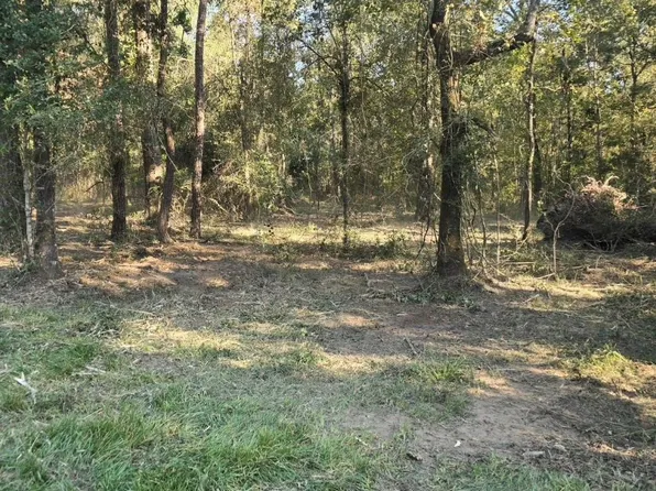 0 State Highway 150 W, Coldspring, TX 77331