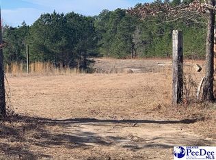 4414 Byrd Rd, Society Hill, SC 29593