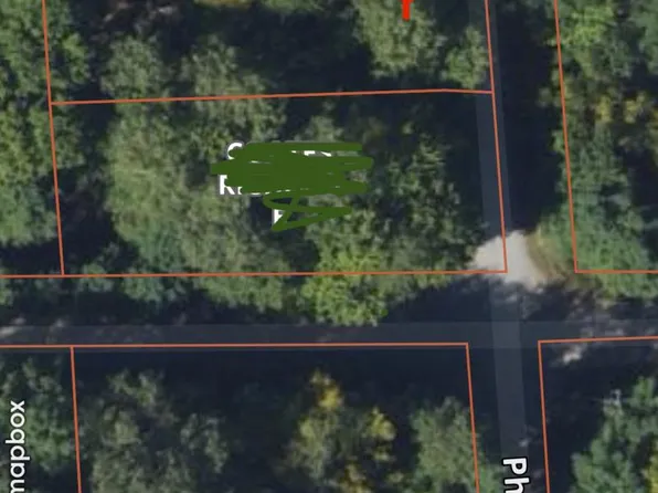 N Pheasant Rd, Lincoln, MI 48742