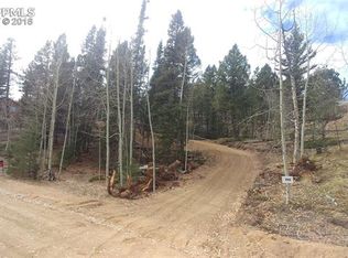 190 Saguache Dr, Florissant, CO 80816