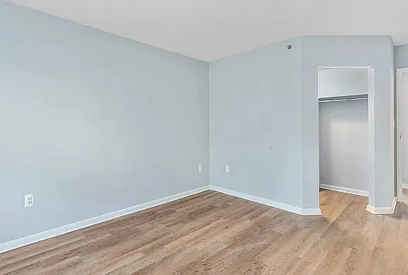 Bedroom #2 Walk-In Closet
