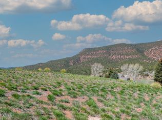 375 Red Fox Dr, Gypsum, CO 81637