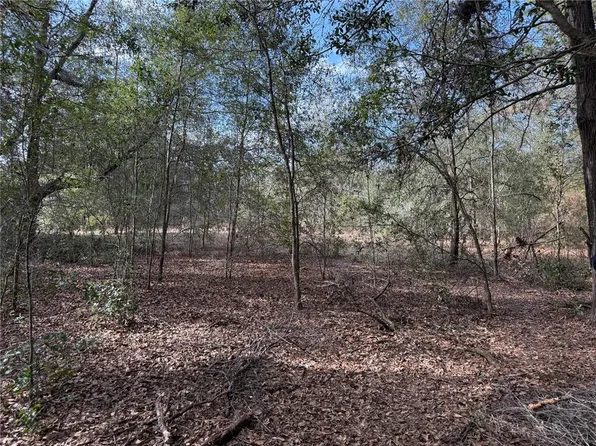 SE 92nd Ct, Belleview, FL 34420