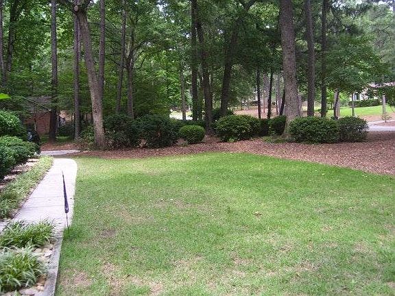 Front lawn in a quiet neighborhood