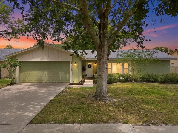 17513 Shadyside Cir, Lutz, FL 33549