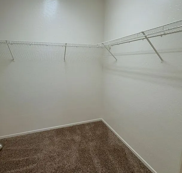 6224 W Thompson Ave — Photo 18