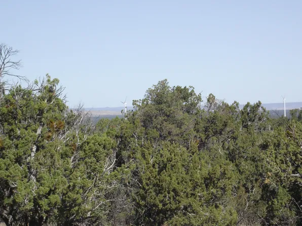 731 E Wampum Ln, Williams, AZ 86046