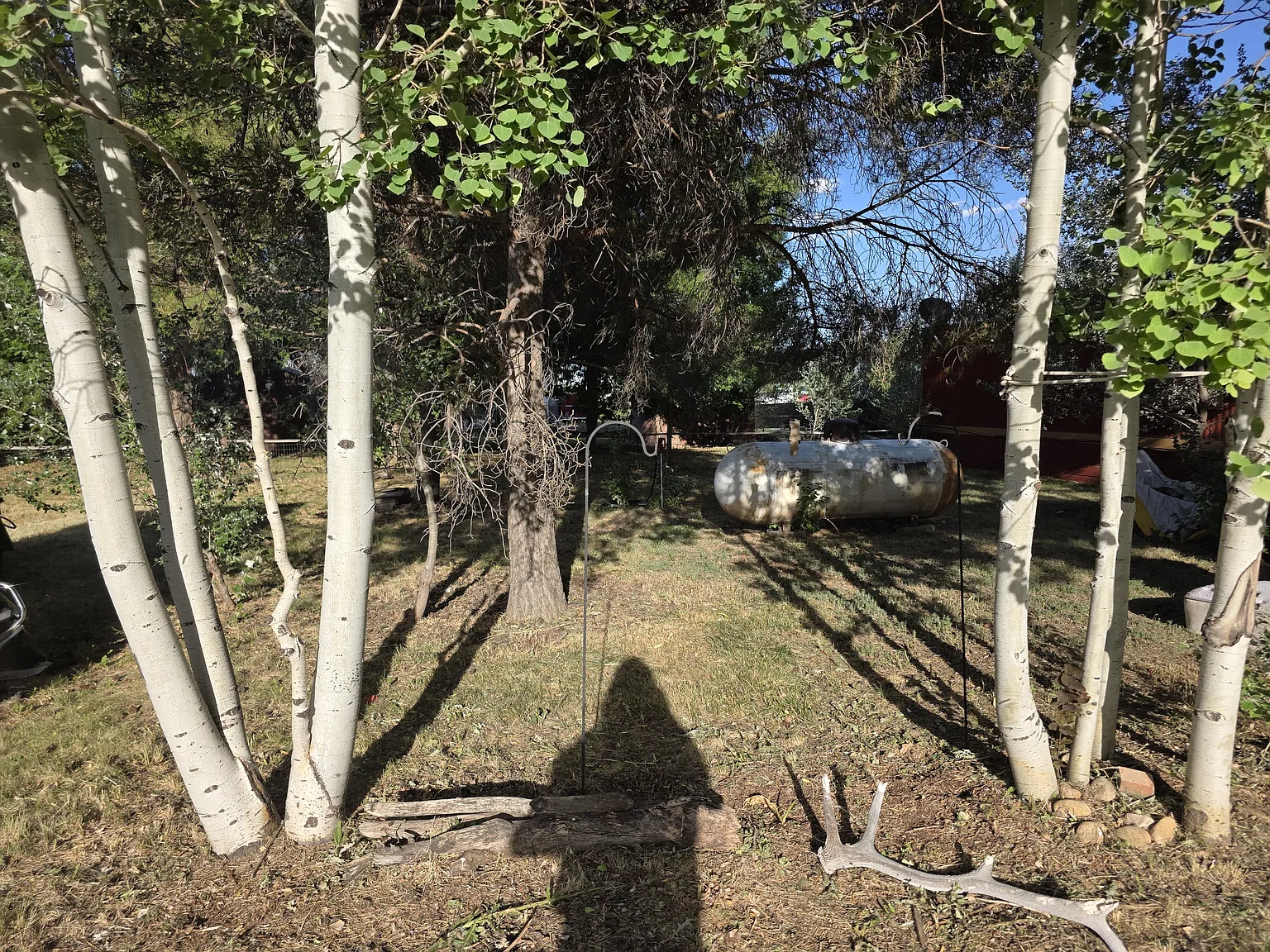 3 bed, 980 sqft, $1,700 — Photo 3