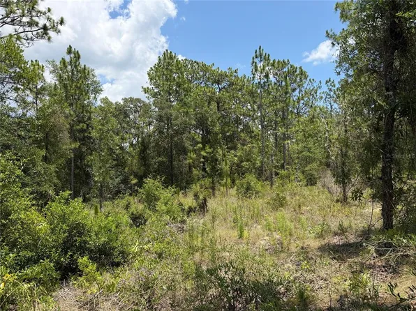0 NE 65th Ln Lot 13, Williston, FL 32696