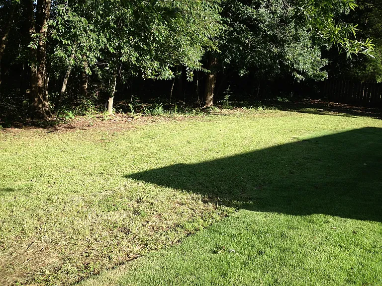 1149 Eagle Cir — Photo 4