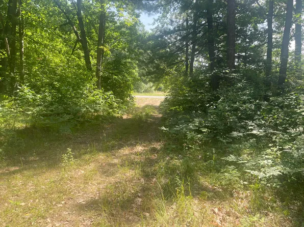 Dilling Rd, Brethren, MI 49619
