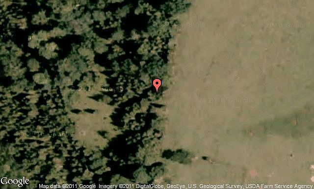 Map View