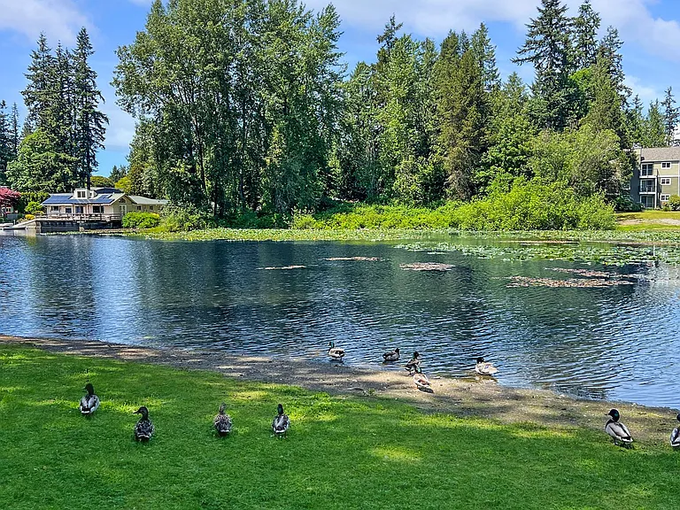 Lakeside Apartments — Photo 6