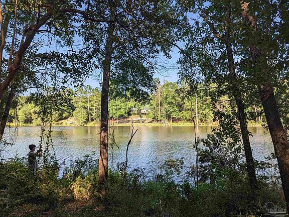 3rd image of 0 Pine Lake Cir