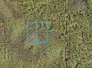 Inaccessible Trak LOT 18, Deland, FL 32724