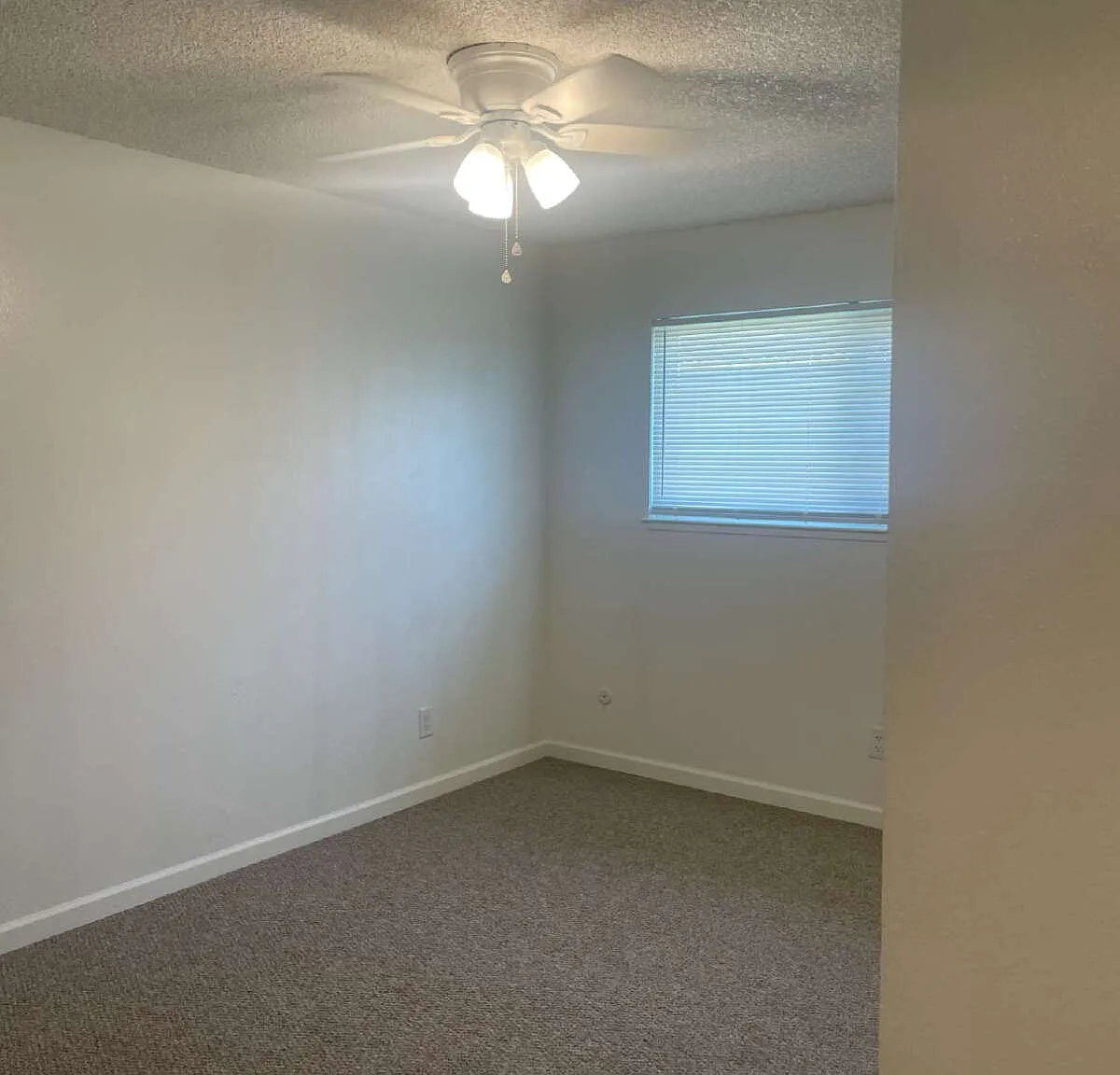 2 bed, 1.0 bath, $1,450 — Photo 3