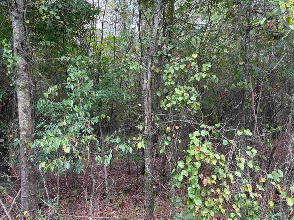 38 Baker Ln, Hattieville, AR 72063