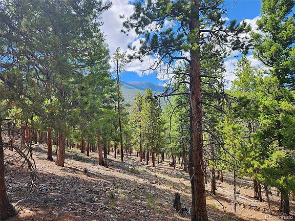 3rd image of 30328 National Forest Drive LOT 23