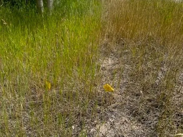 US 40, Empire, CO 80438