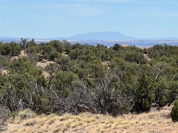 396 Easy St, Saint Johns, AZ 85936