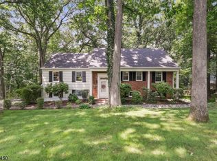 55 Nicholson Dr, Chatham, NJ