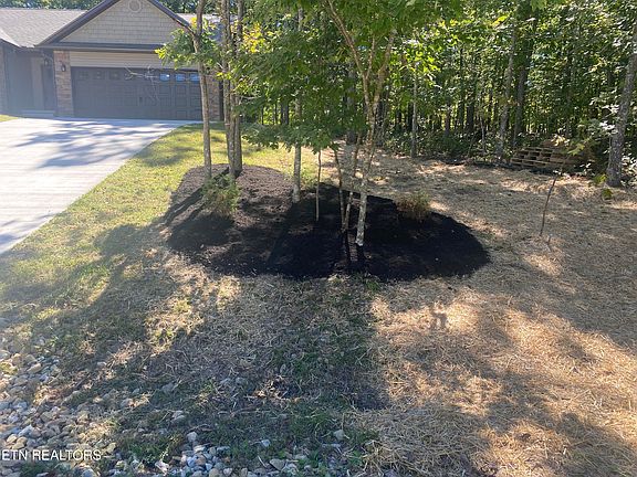 3rd image of 233 Albemarle Cir