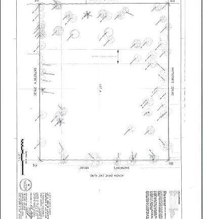 2nd image of 113 Acacia Dr