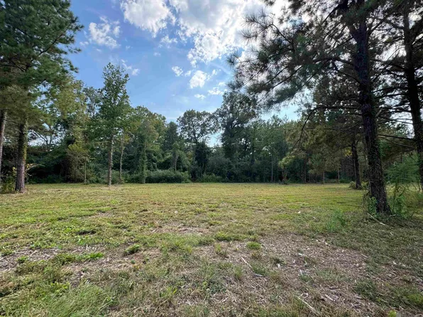 TRACT Highway 16 #D, Denham Springs, LA 70706