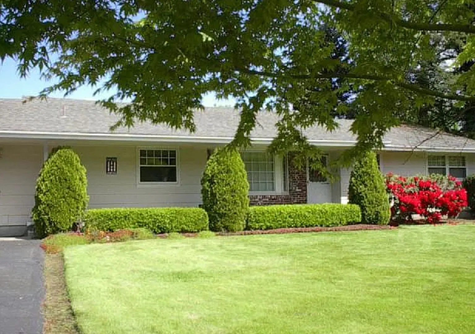 Spacious Yard and Home — Photo 2