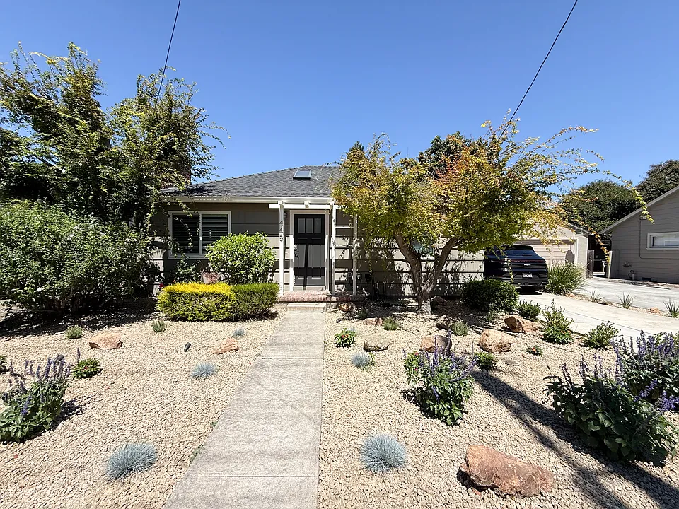 445 Alviso St