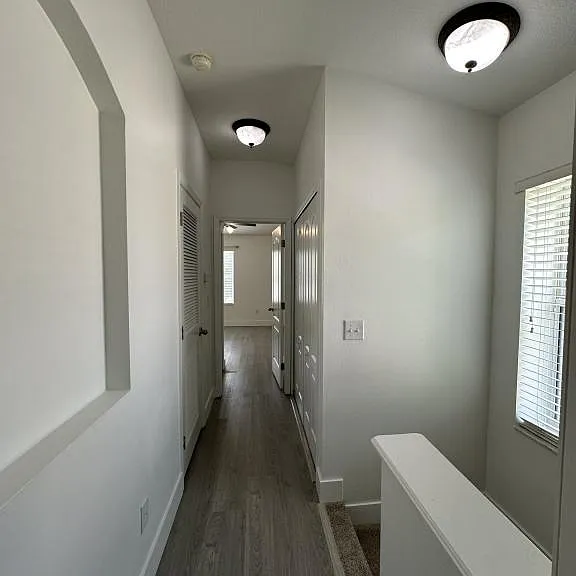 15752 Fishhawk Falls Dr — Photo 13