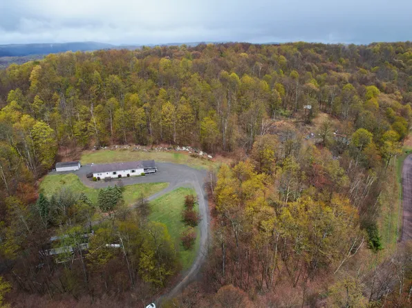 688 Buck View Dr, Hancock, NY 13783