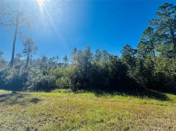 13920 SE 204th Ter #9, Hawthorne, FL 32640